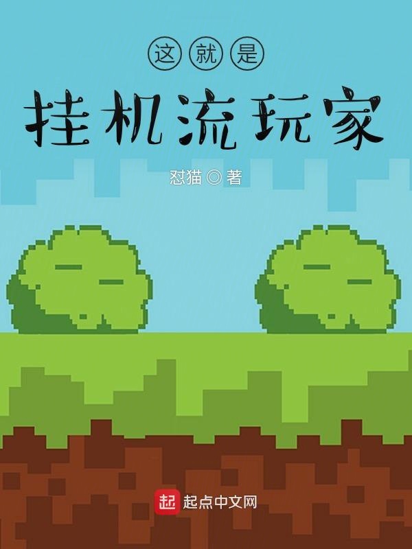 这就是挂机流玩家