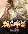 极品帝婿