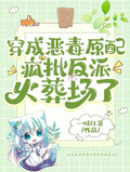 穿成恶毒原配，疯批反派火葬场了